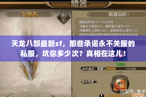 天龙八部最新sf,那些承诺永不关服的私服,坑你多少次?真相在这儿! 天龙八部最新sf,那些承诺永不关服的私服,坑你多少次?真相在这儿!