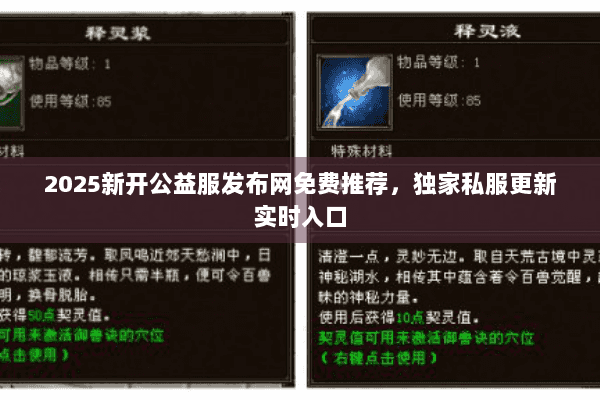 2025新开公益服发布网免费推荐，独家私服更新实时入口