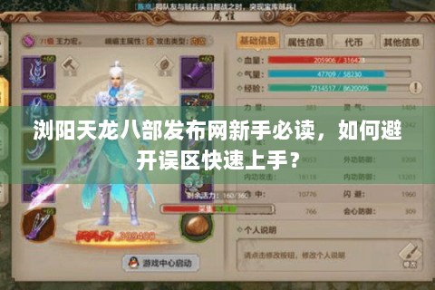 浏阳天龙八部发布网新手必读，如何避开误区快速上手？