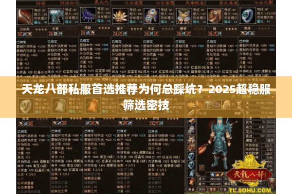 天龙八部私服首选推荐为何总踩坑?2025超稳服筛选密技 天龙八部私服首选推荐为何总踩坑?2025超稳服筛选密技
