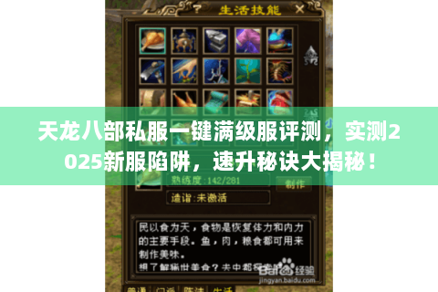 天龙八部私服一键满级服评测，实测2025新服陷阱，速升秘诀大揭秘！