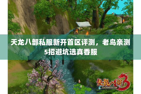 天龙八部私服新开首区评测,老鸟亲测5招避坑选真香服 天龙八部私服新开首区评测,老鸟亲测5招避坑选真香服