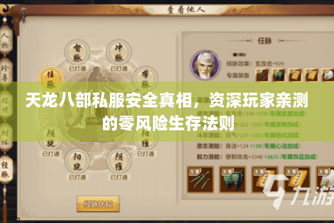 天龙八部私服安全真相，资深玩家亲测的零风险生存法则