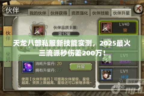 天龙八部私服新技能实测，2025最火三流派秒伤差200万！