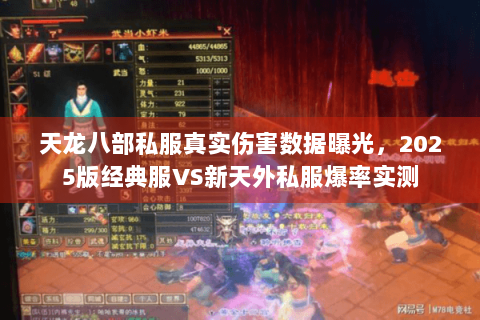 天龙八部私服真实伤害数据曝光,2025版经典服VS新天外私服爆率实测 天龙八部私服真实伤害数据曝光,2025版经典服VS新天外私服爆率实测