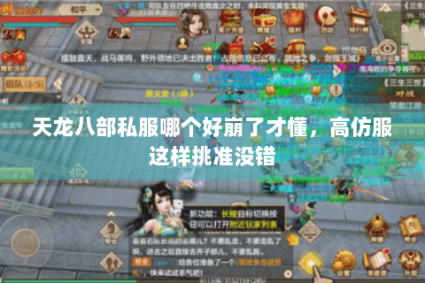 天龙八部私服哪个好崩了才懂，高仿服这样挑准没错