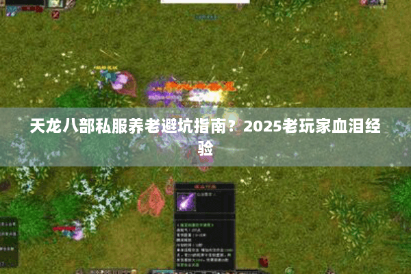 天龙八部私服养老避坑指南?2025老玩家血泪经验 天龙八部私服养老避坑指南?2025老玩家血泪经验