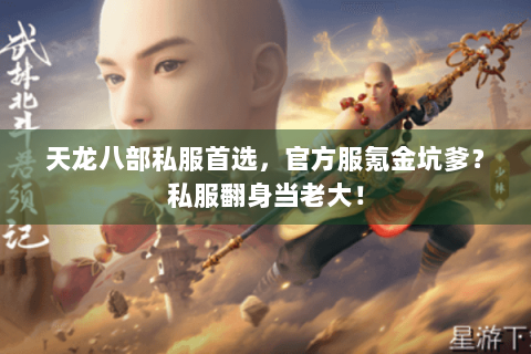 天龙八部私服首选，官方服氪金坑爹？私服翻身当老大！