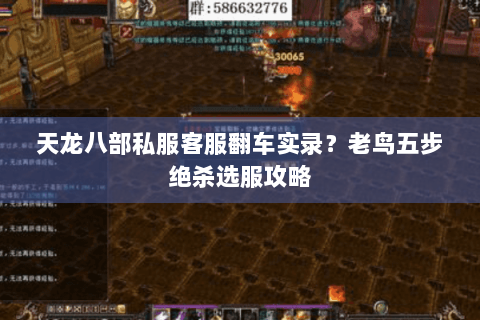 天龙八部私服客服翻车实录？老鸟五步绝杀选服攻略