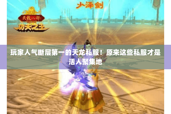 玩家人气断层第一的天龙私服！原来这些私服才是活人聚集地