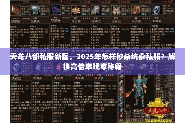 天龙八部私服新区，2025年怎样秒杀坑爹私服？解锁高倍率玩家秘籍