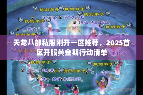 天龙八部私服刚开一区推荐，2025首区开服黄金期行动清单
