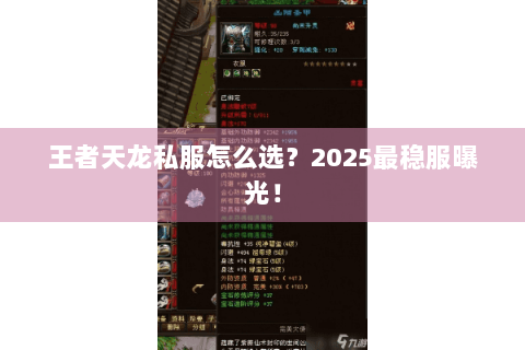 王者天龙私服怎么选?2025最稳服曝光! 王者天龙私服怎么选?2025最稳服曝光!