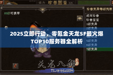 2025立即行动，零氪金天龙SF最火爆TOP10服务器全解析