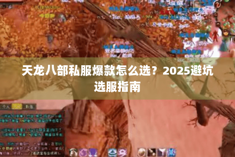 天龙八部私服爆款怎么选？2025避坑选服指南