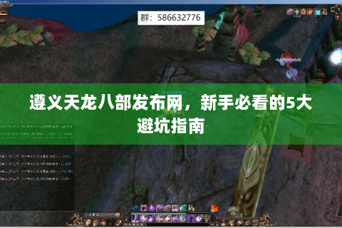 遵义天龙八部发布网，新手必看的5大避坑指南