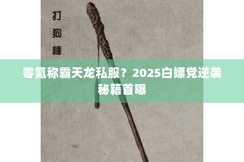 零氪称霸天龙私服?2025白嫖党逆袭秘籍首曝 零氪称霸天龙私服?2025白嫖党逆袭秘籍首曝