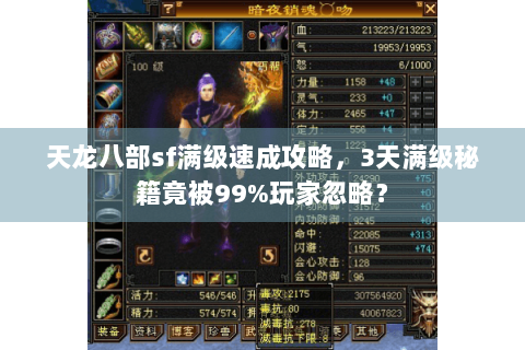 天龙八部sf满级速成攻略,3天满级秘籍竟被99%玩家忽略? 天龙八部sf满级速成攻略,3天满级秘籍竟被99%玩家忽略?
