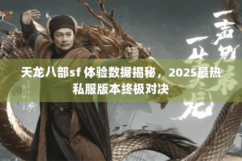 天龙八部sf 体验数据揭秘，2025最热私服版本终极对决