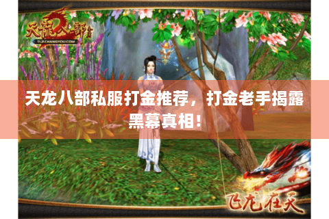 天龙八部私服打金推荐，打金老手揭露黑幕真相！