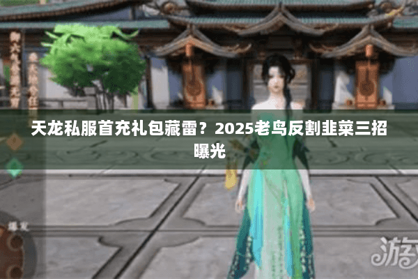 天龙私服首充礼包藏雷？2025老鸟反割韭菜三招曝光