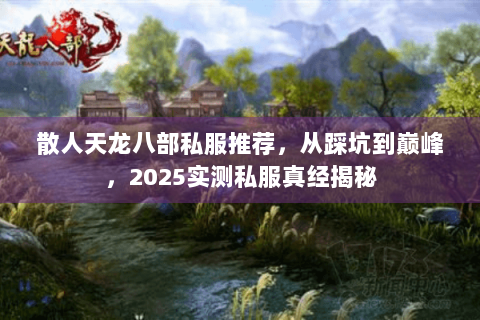 散人天龙八部私服推荐，从踩坑到巅峰，2025实测私服真经揭秘