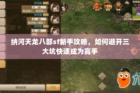 纳河天龙八部sf新手攻略，如何避开三大坑快速成为高手
