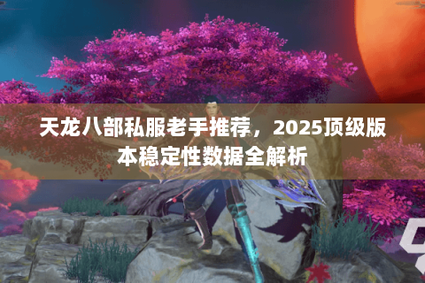 天龙八部私服老手推荐，2025顶级版本稳定性数据全解析