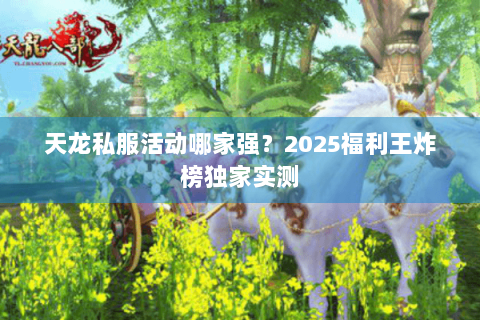 天龙私服活动哪家强？2025福利王炸榜独家实测