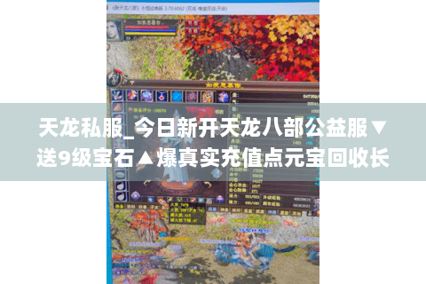天龙私服_今日新开天龙八部公益服▼送9级宝石▲爆真实充值点元宝回收长久稳定 天龙私服_今日新开天龙八部公益服▼送9级宝石▲爆真实充值点元宝回收长久稳定