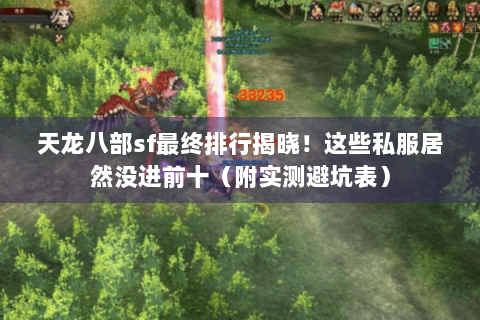 天龙八部sf最终排行揭晓!这些私服居然没进前十(附实测避坑表) 天龙八部sf最终排行揭晓!这些私服居然没进前十(附实测避坑表)