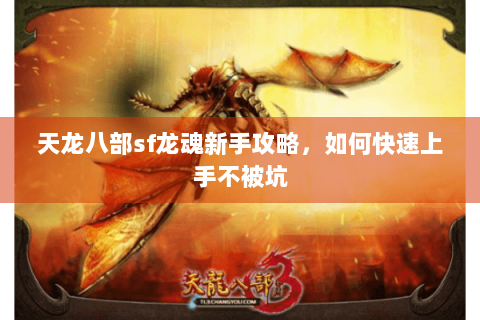 天龙八部sf龙魂新手攻略，如何快速上手不被坑
