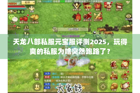 天龙八部私服元宝服评测2025,玩得爽的私服为啥突然跑路了? 天龙八部私服元宝服评测2025,玩得爽的私服为啥突然跑路了?