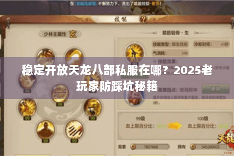 稳定开放天龙八部私服在哪?2025老玩家防踩坑秘籍 稳定开放天龙八部私服在哪?2025老玩家防踩坑秘籍