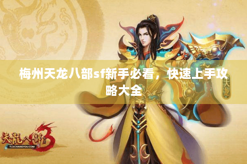 梅州天龙八部sf新手必看，快速上手攻略大全