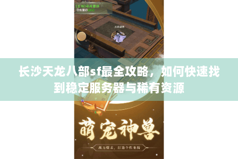 长沙天龙八部sf最全攻略，如何快速找到稳定服务器与稀有资源