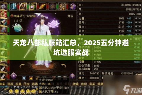 天龙八部私服站汇总，2025五分钟避坑选服实战