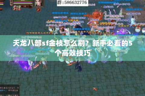 天龙八部sf金枝怎么刷？新手必看的5个高效技巧