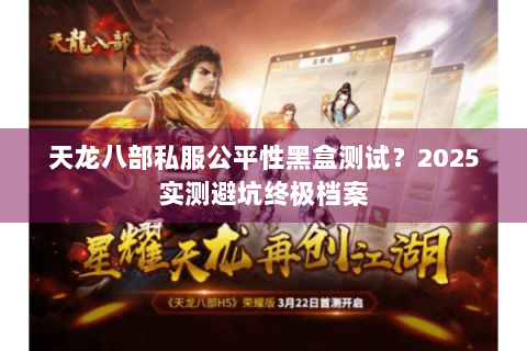 天龙八部私服公平性黑盒测试?2025实测避坑终极档案 天龙八部私服公平性黑盒测试?2025实测避坑终极档案