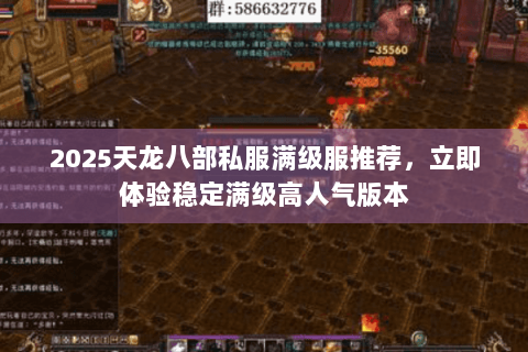2025天龙八部私服满级服推荐，立即体验稳定满级高人气版本