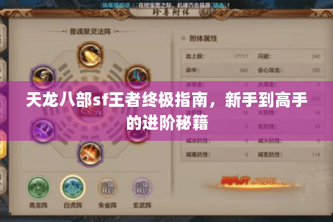 天龙八部sf王者终极指南，新手到高手的进阶秘籍