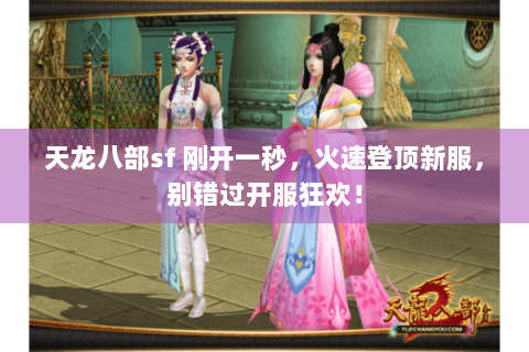 天龙八部sf 刚开一秒，火速登顶新服，别错过开服狂欢！