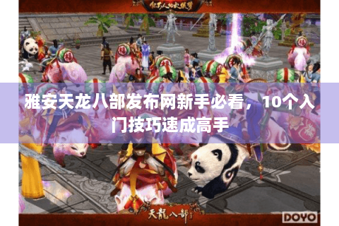 雅安天龙八部发布网新手必看,10个入门技巧速成高手 雅安天龙八部发布网新手必看,10个入门技巧速成高手