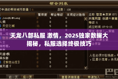 天龙八部私服 激情，2025独家数据大揭秘，私服选择终极技巧