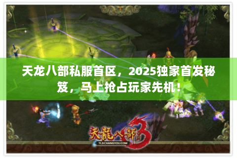 天龙八部私服首区，2025独家首发秘笈，马上抢占玩家先机！