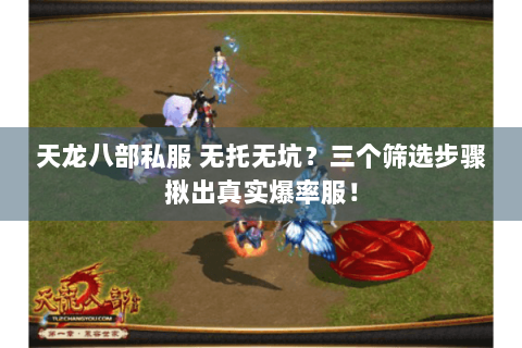 天龙八部私服 无托无坑?三个筛选步骤揪出真实爆率服! 天龙八部私服 无托无坑?三个筛选步骤揪出真实爆率服!