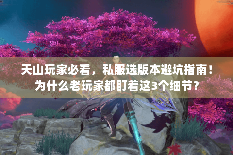 天山玩家必看,私服选版本避坑指南!为什么老玩家都盯着这3个细节? 天山玩家必看,私服选版本避坑指南!为什么老玩家都盯着这3个细节?