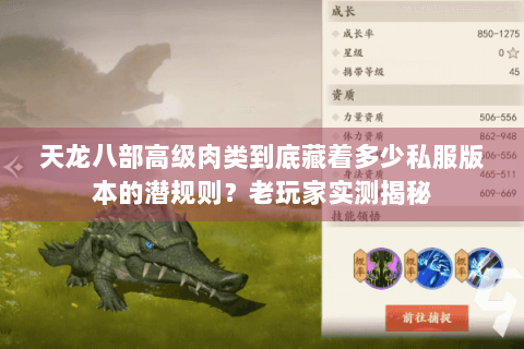 天龙八部高级肉类到底藏着多少私服版本的潜规则？老玩家实测揭秘