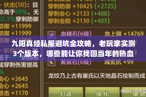 九阳真经私服避坑全攻略，老玩家实测3个版本，哪些能让你找回当年的热血？