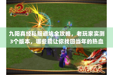 九阳真经私服避坑全攻略，老玩家实测3个版本，哪些能让你找回当年的热血？